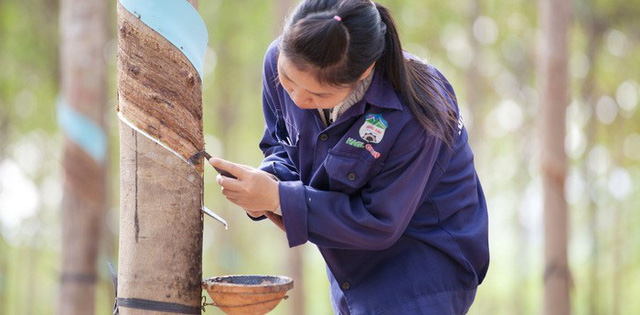 10 năm bão táp của Hoàng Anh Gia Lai: Bỏ bất động sản, tìm về nông nghiệp, từ đỉnh cao huy hoàng tới mấp mé vực thẳm - Ảnh 3. 10 năm bão táp của Hoàng Anh Gia Lai: Bỏ bất động sản, tìm về nông nghiệp, từ đỉnh cao huy hoàng tới mấp mé vực thẳm - Ảnh 3.