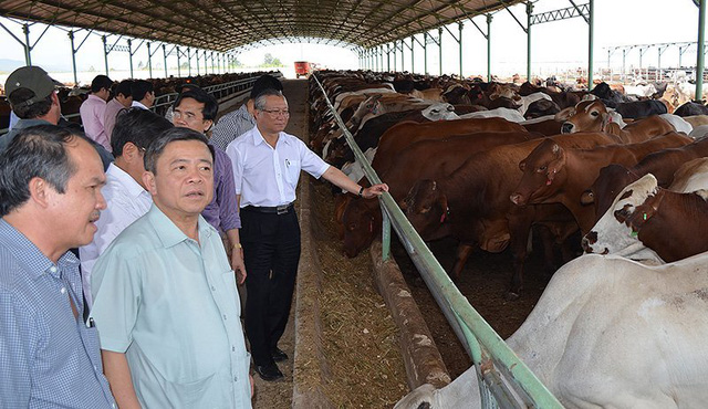 10 năm bão táp của Hoàng Anh Gia Lai: Bỏ bất động sản, tìm về nông nghiệp, từ đỉnh cao huy hoàng tới mấp mé vực thẳm - Ảnh 4. 10 năm bão táp của Hoàng Anh Gia Lai: Bỏ bất động sản, tìm về nông nghiệp, từ đỉnh cao huy hoàng tới mấp mé vực thẳm - Ảnh 4.