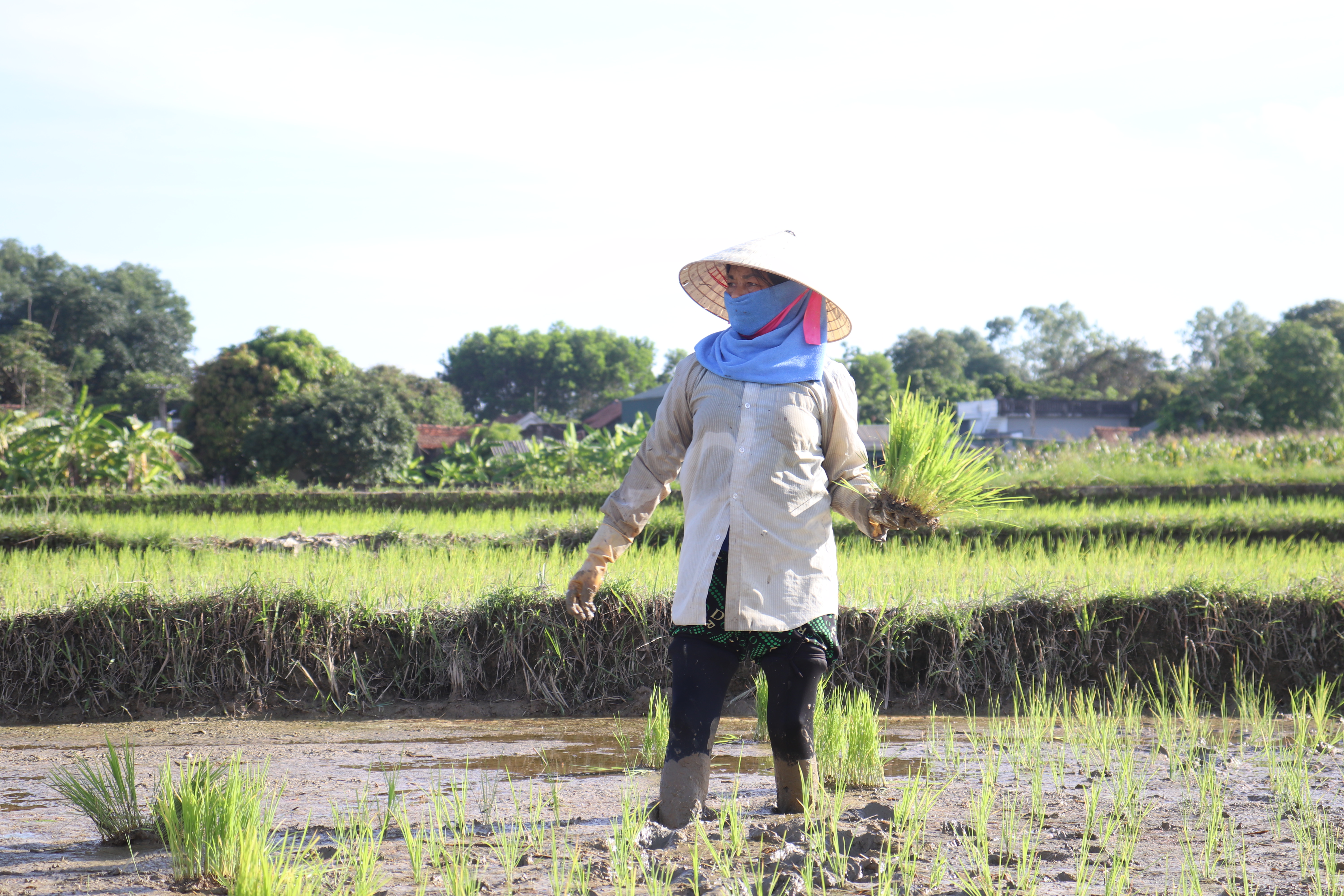 212m-30-ha-dat-l227o-n244ng-o-thanh-h243a-nu244i-trong-du-thu-cho-thu-nhap-gan-3-ty-dongnam_3.jpg 212m-30-ha-dat-l227o-n244ng-o-thanh-h243a-nu244i-trong-du-thu-cho-thu-nhap-gan-3-ty-dongnam_3.jpg