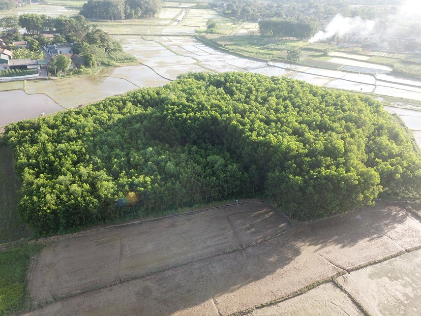 212m-30-ha-dat-l227o-n244ng-o-thanh-h243a-nu244i-trong-du-thu-cho-thu-nhap-gan-3-ty-dongnam_4.jpg 212m-30-ha-dat-l227o-n244ng-o-thanh-h243a-nu244i-trong-du-thu-cho-thu-nhap-gan-3-ty-dongnam_4.jpg