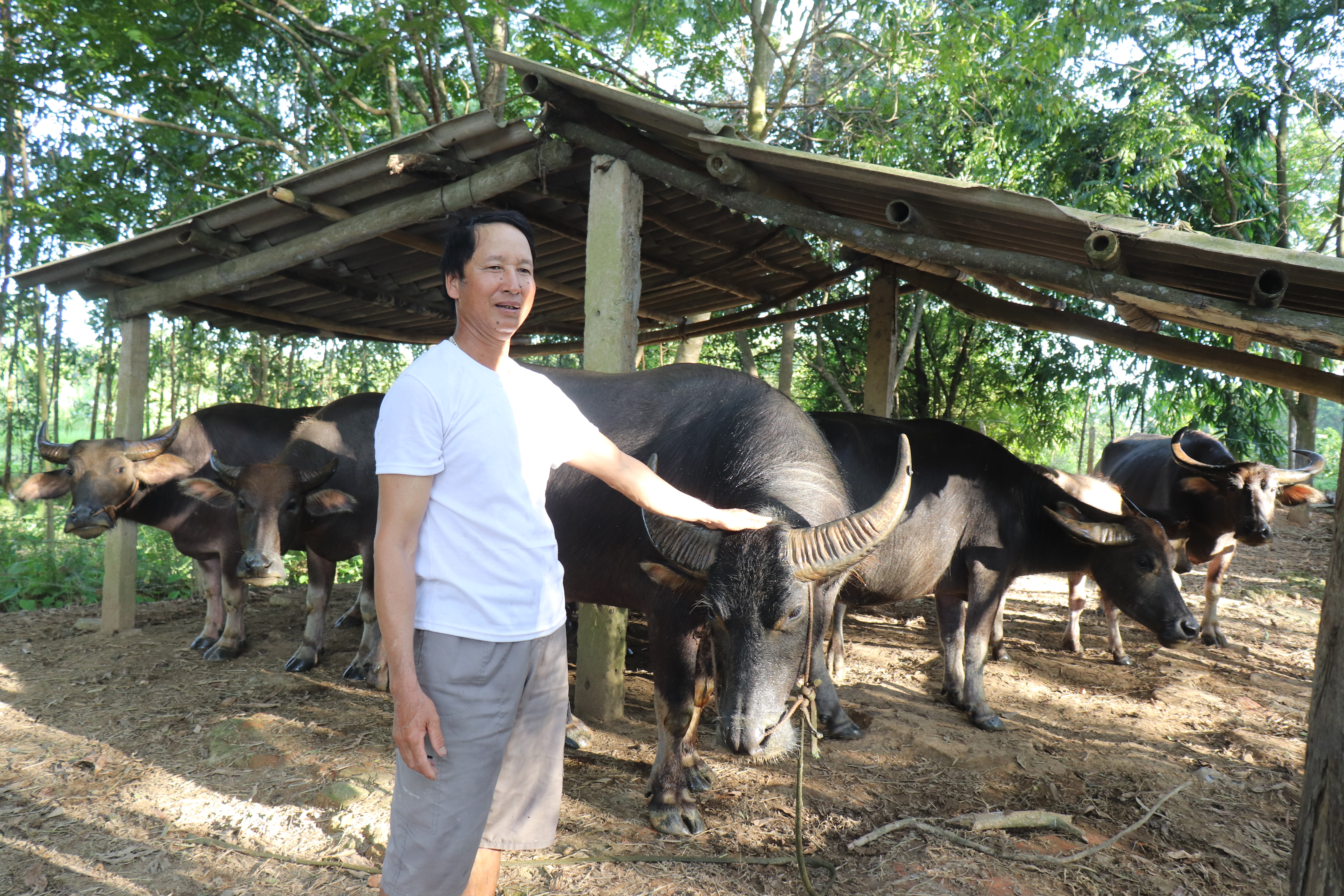212m-30-ha-dat-l227o-n244ng-o-thanh-h243a-nu244i-trong-du-thu-cho-thu-nhap-gan-3-ty-dongnam_5.jpg 212m-30-ha-dat-l227o-n244ng-o-thanh-h243a-nu244i-trong-du-thu-cho-thu-nhap-gan-3-ty-dongnam_5.jpg