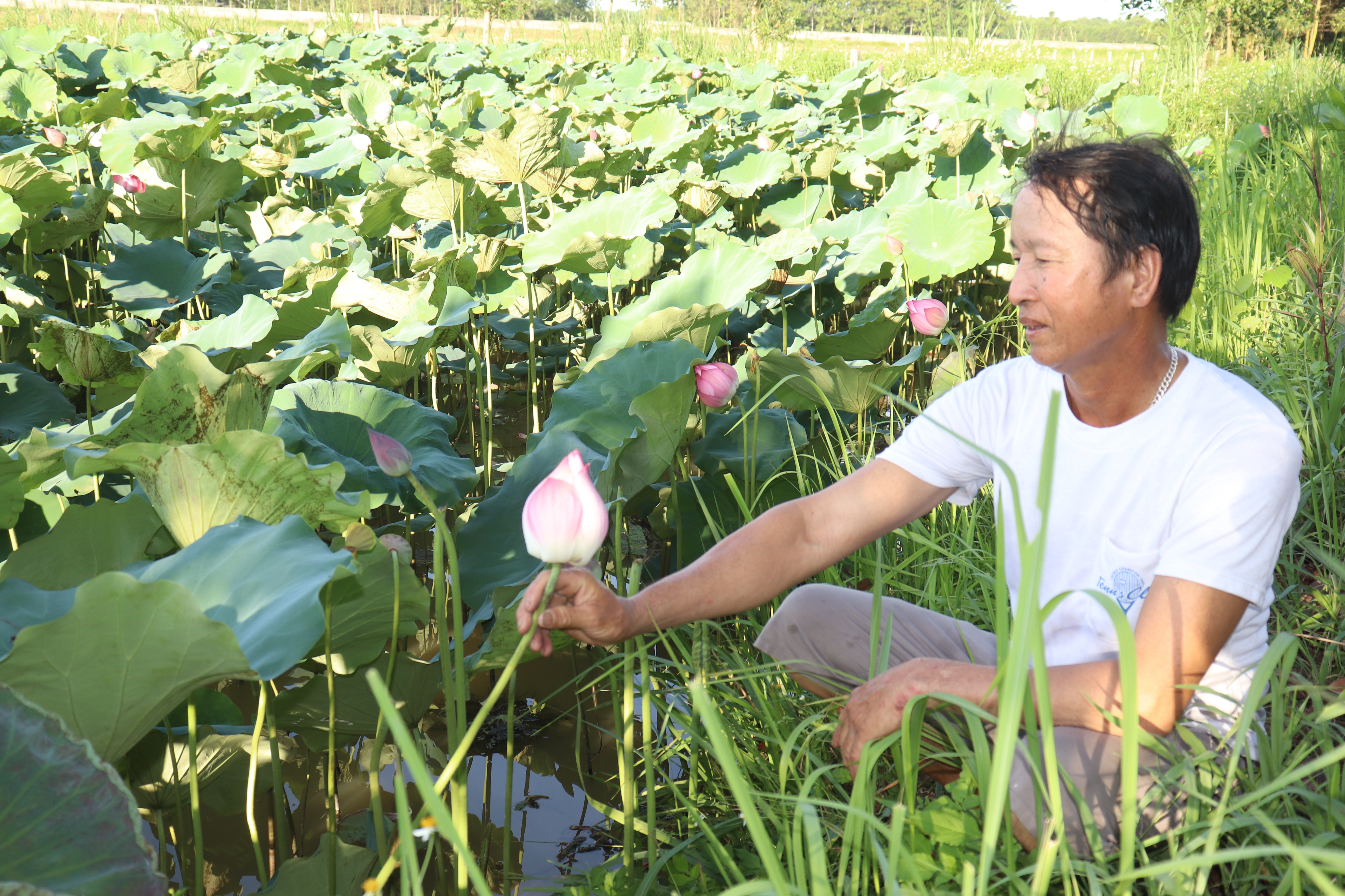 212m-30-ha-dat-l227o-n244ng-o-thanh-h243a-nu244i-trong-du-thu-cho-thu-nhap-gan-3-ty-dongnam_6.jpg 212m-30-ha-dat-l227o-n244ng-o-thanh-h243a-nu244i-trong-du-thu-cho-thu-nhap-gan-3-ty-dongnam_6.jpg