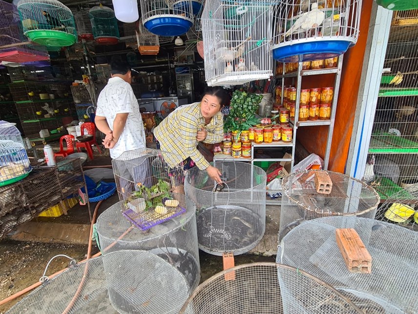 39cho-chim-troi39-lon-nhat-mien-t226y-truoc-gio-39g39_4.jpg 39cho-chim-troi39-lon-nhat-mien-t226y-truoc-gio-39g39_4.jpg