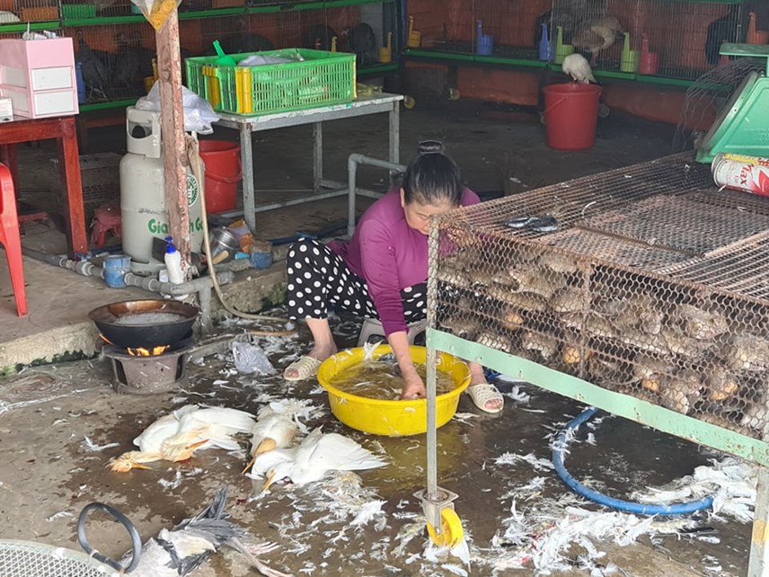 39cho-chim-troi39-lon-nhat-mien-t226y-truoc-gio-39g39_5.jpg 39cho-chim-troi39-lon-nhat-mien-t226y-truoc-gio-39g39_5.jpg