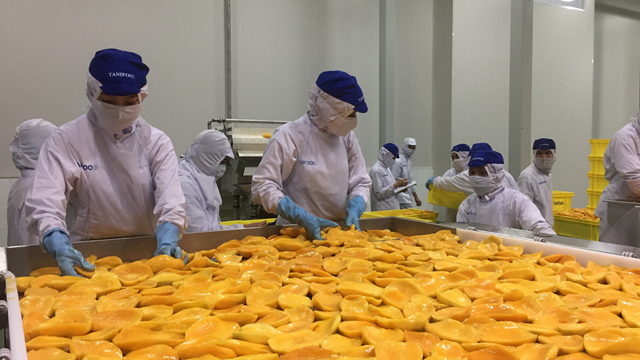 'Cửa sáng' đầu năm cho công nghiệp chế biến