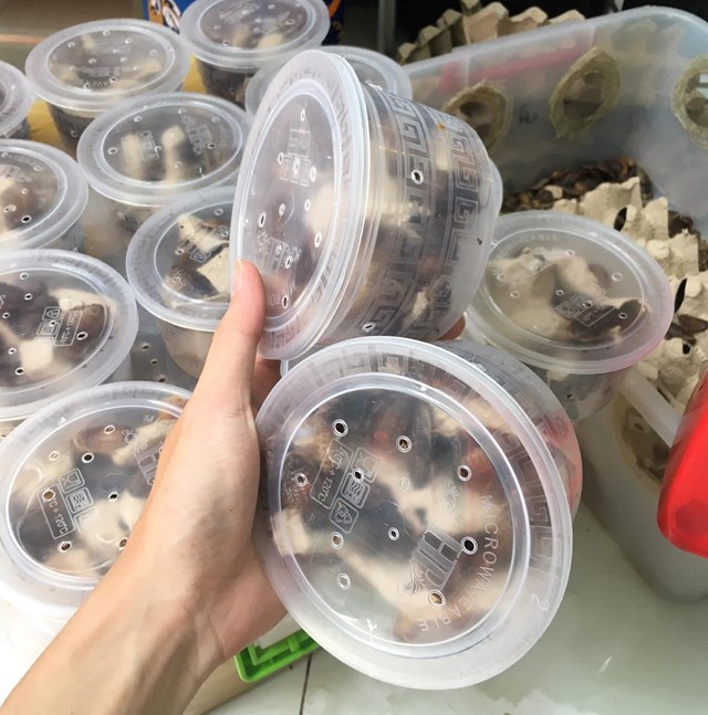 39hot-bac39-nho-nghe-nu244i-gi225n_7.jpg 39hot-bac39-nho-nghe-nu244i-gi225n_7.jpg
