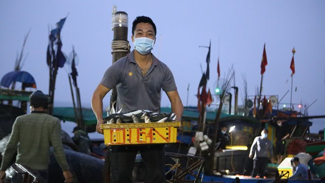 'Thủ phủ' hải sản Hà Tĩnh trước ngày biển động