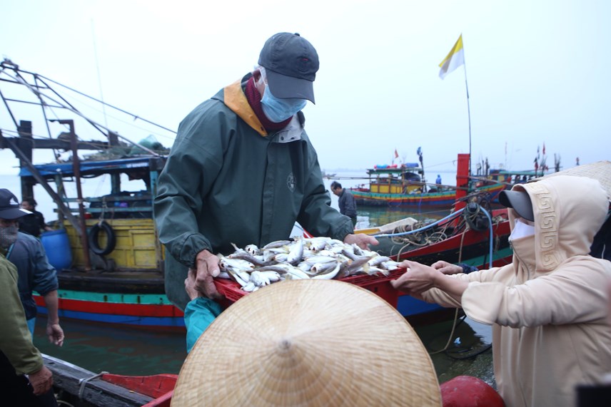 39thu-phu39-hai-san-h224-tinh-truoc-ng224y-bien-dong_7.jpg 39thu-phu39-hai-san-h224-tinh-truoc-ng224y-bien-dong_7.jpg