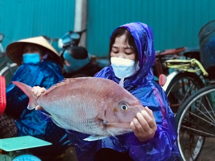 39thu-phu39-hai-san-h224-tinh-truoc-ng224y-bien-dong_8.jpg 39thu-phu39-hai-san-h224-tinh-truoc-ng224y-bien-dong_8.jpg