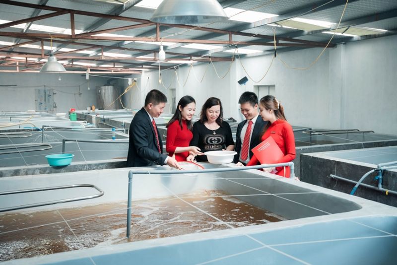 Agribank cùng ngành ngân hàng tăng cường sức hấp thụ vốn cho doanh nghiệp nói riêng và khách hàng nói chung Agribank cùng ngành ngân hàng tăng cường sức hấp thụ vốn cho doanh nghiệp nói riêng và khách hàng nói chung