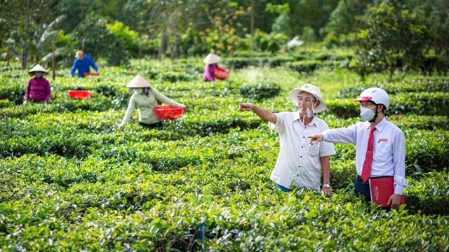 Agribank góp sức phát triển nông thôn mới kiểu mẫu của Việt Nam