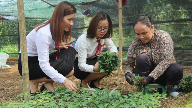 Agribank - khẳng định vai trò chủ lực đầu tư 'Tam nông'