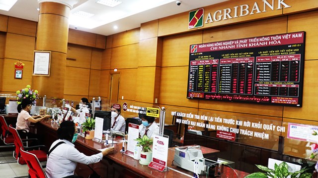 Agribank phát mại 6 lô đất hơn 250 tỷ đồng