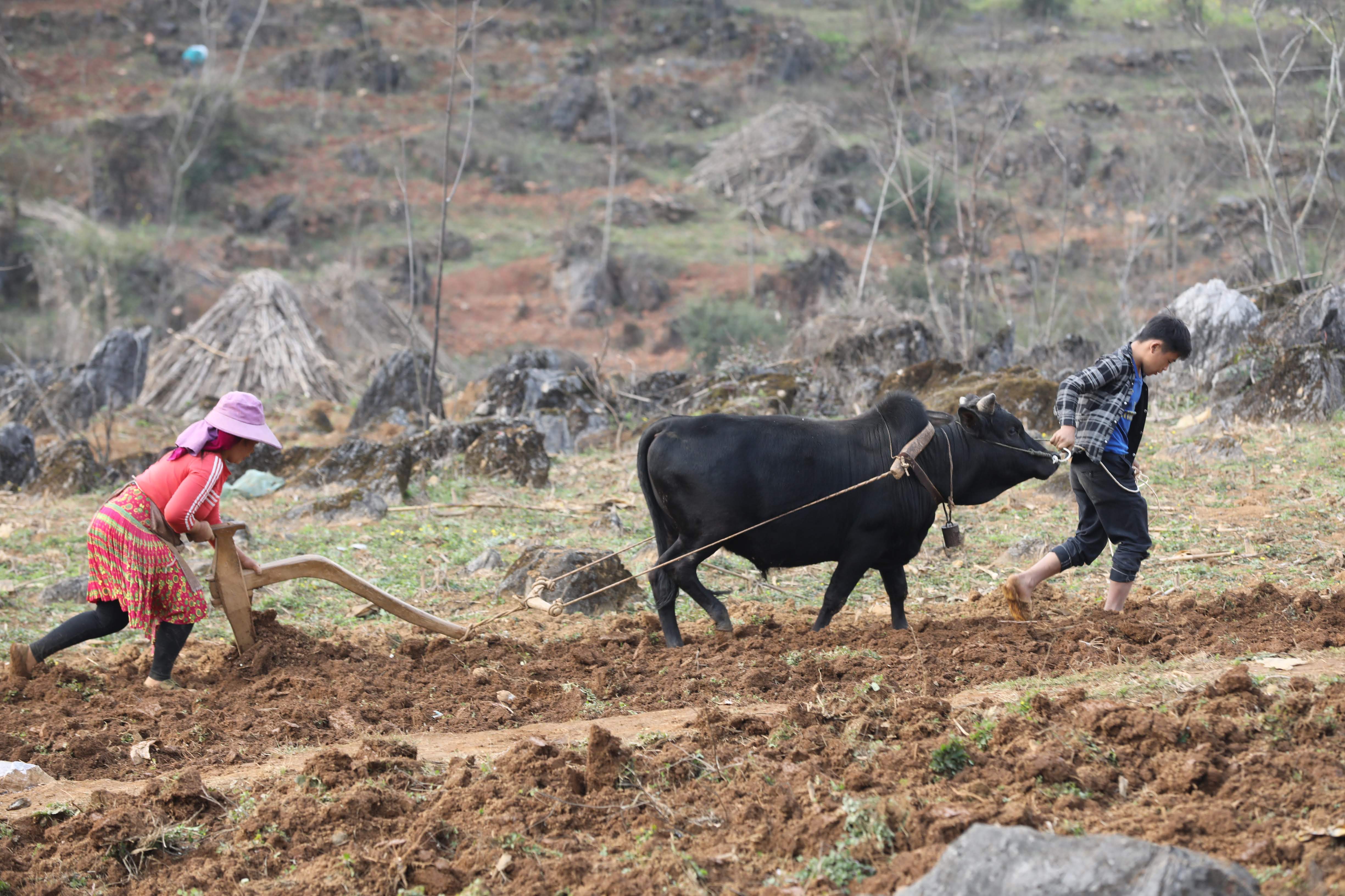 an-tuong-h224-giang_2.jpg an-tuong-h224-giang_2.jpg
