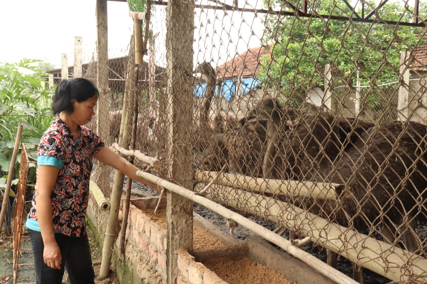 anh-chi234m-nguong-h224ng-tram-con-39g224-khong-lo39-song-giua-dong-kh244ng-m244ng-quanh_10.jpg anh-chi234m-nguong-h224ng-tram-con-39g224-khong-lo39-song-giua-dong-kh244ng-m244ng-quanh_10.jpg