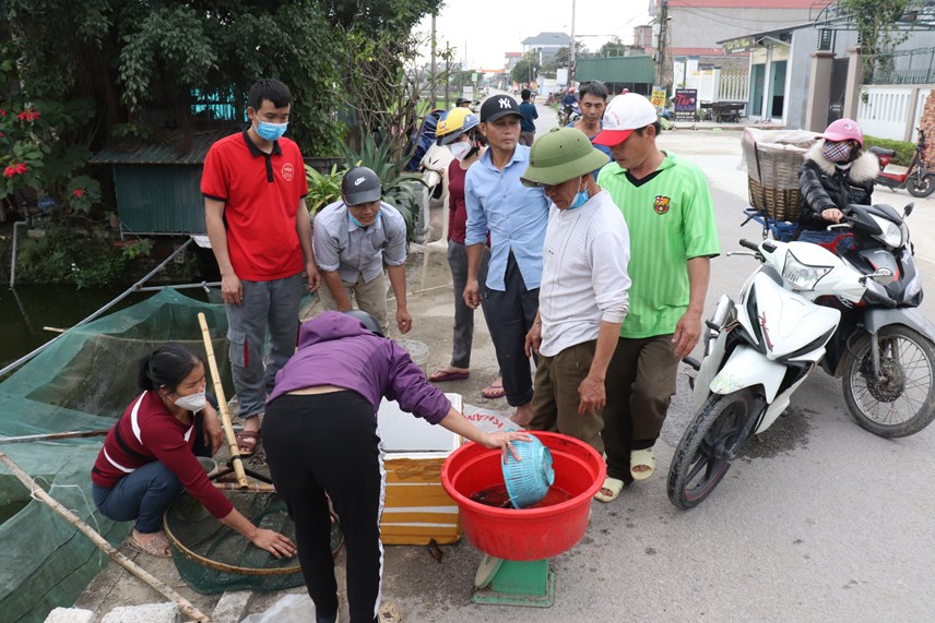anh-gi225-c225-ch233p-v224ng-tang-gap-d244i-n244ng-d226n-thanh-ho225-thu-l227i-ca-tram-trieu-dong_1.jpg