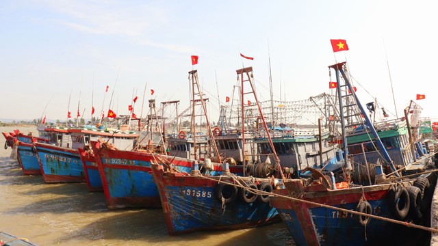 [Ảnh]: Giá xăng dầu tăng cao, hàng nghìn tàu cá Thanh Hóa 'mắc cạn' 