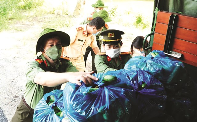 anh-mien-t226y-nhung-ng224y-gi227n-c225ch_2.jpg