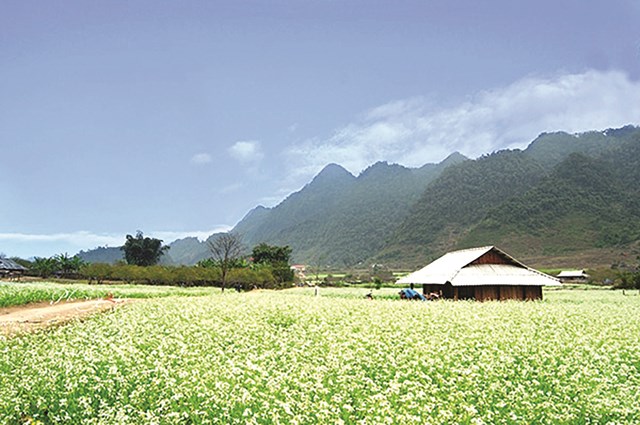 anh-moc-ch226u-m249a-cai-trang_5.jpg