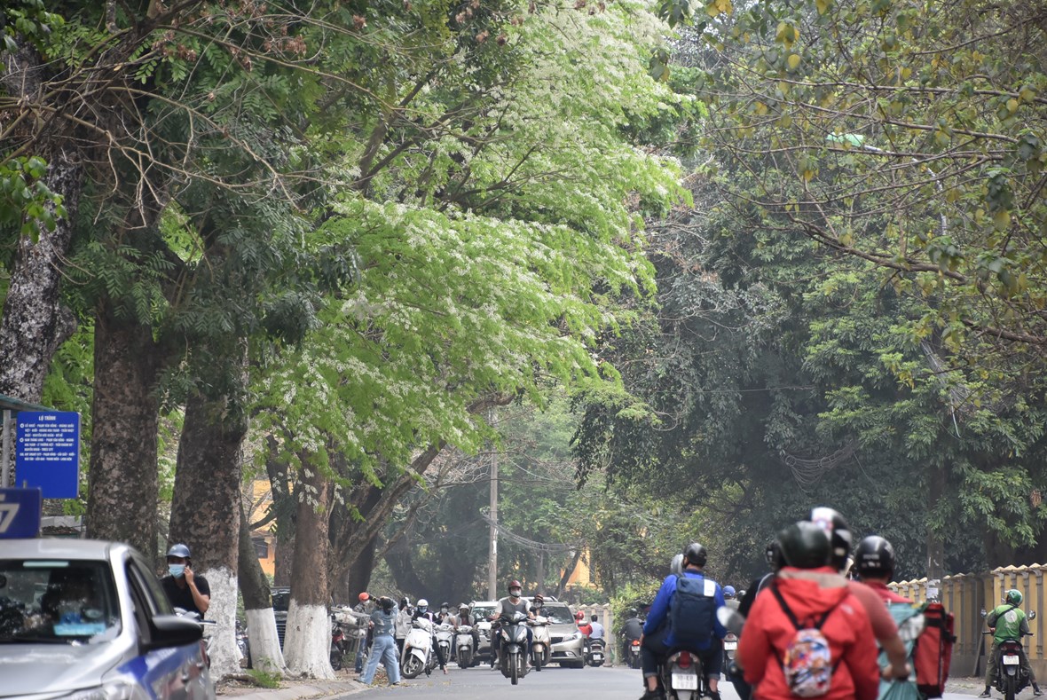 anh-ngam-nhung-cung-duong-h224-noi-39doi-m224u39-l250c-chuyen-m249a_11.jpg