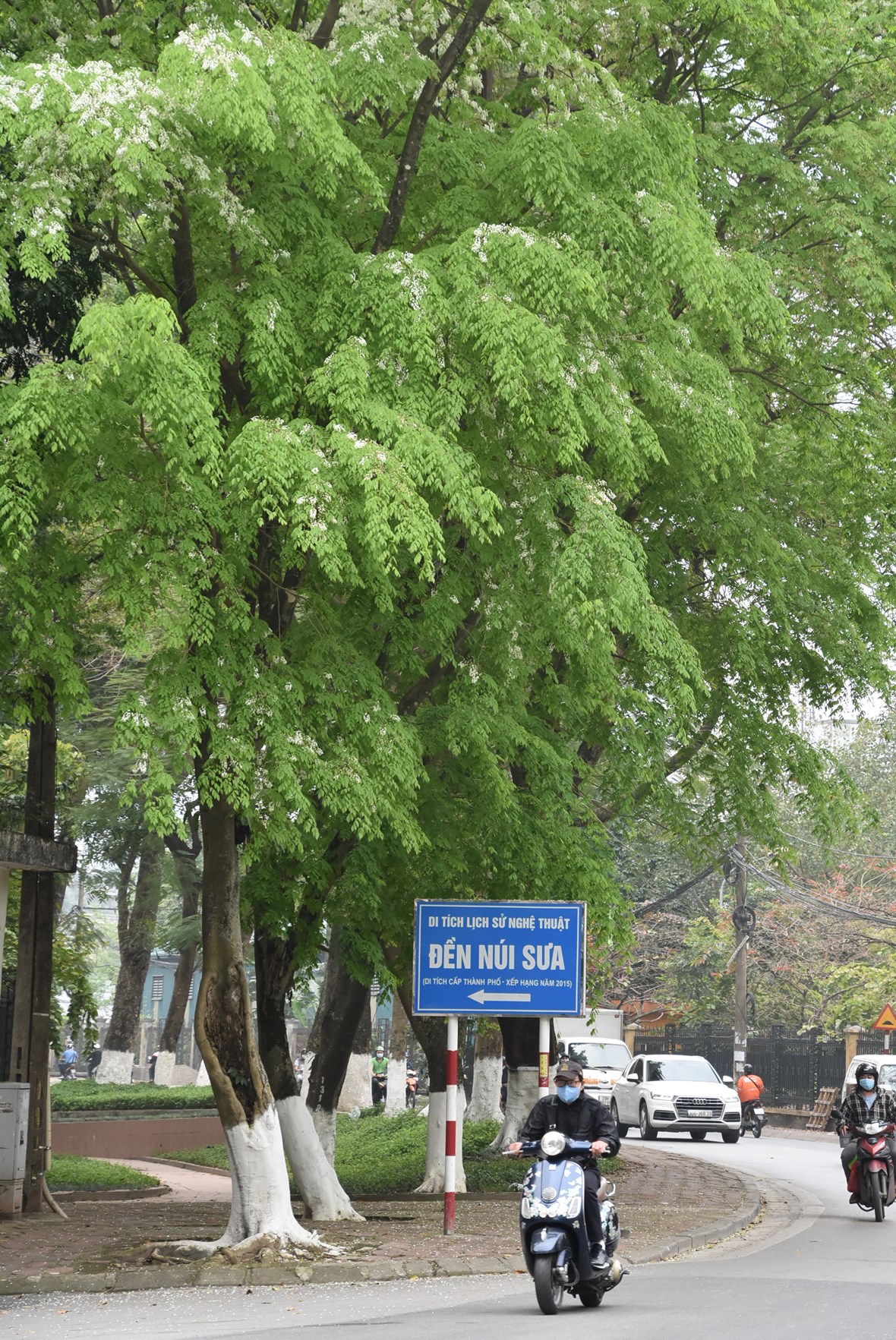 anh-ngam-nhung-cung-duong-h224-noi-39doi-m224u39-l250c-chuyen-m249a_13.jpg