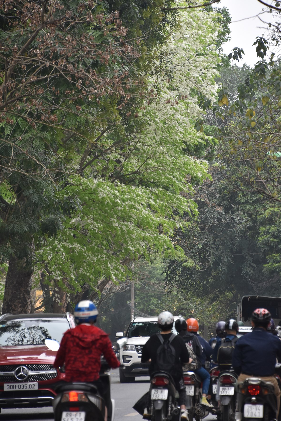 anh-ngam-nhung-cung-duong-h224-noi-39doi-m224u39-l250c-chuyen-m249a_7.jpg