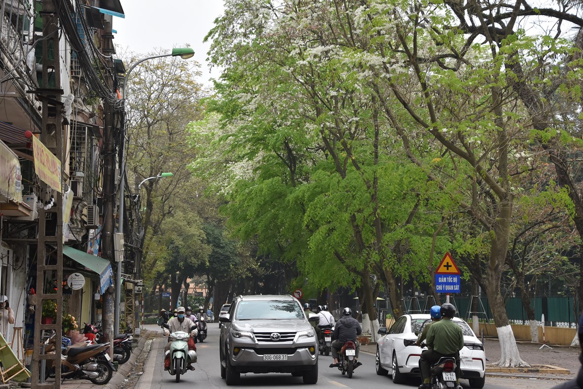 anh-ngam-nhung-cung-duong-h224-noi-39doi-m224u39-l250c-chuyen-m249a_8.jpg