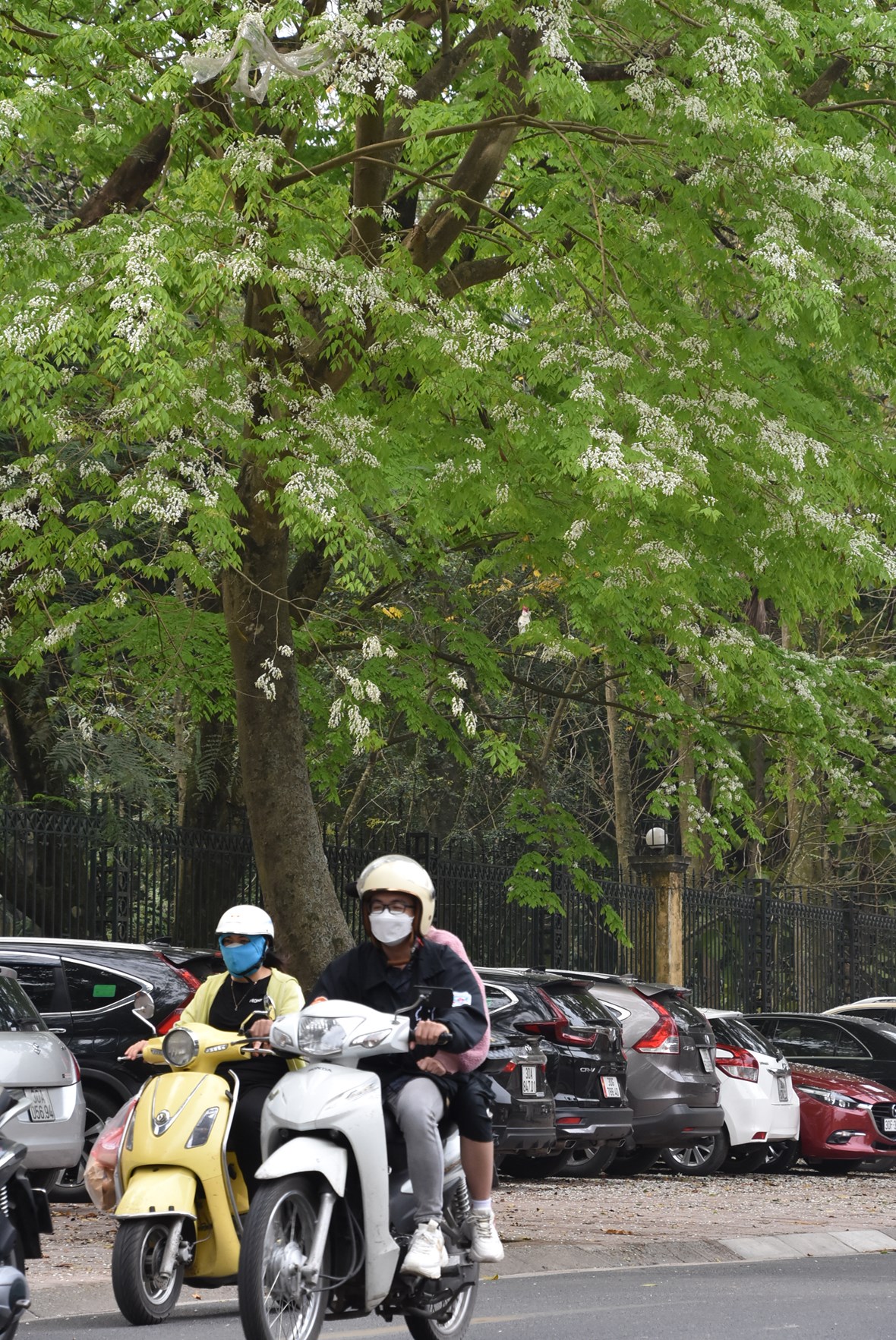 anh-ngam-nhung-cung-duong-h224-noi-39doi-m224u39-l250c-chuyen-m249a_9.jpg