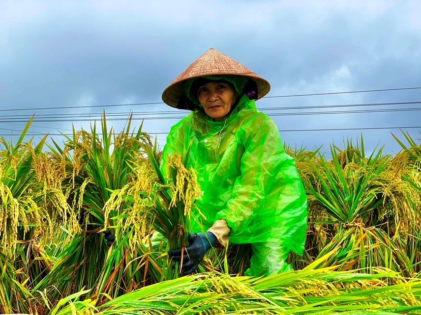 anh-nguoi-d226n-doi-mua-buoc-l250a-h242ng-cuu-vu-d244ng-xu226n_5.jpg anh-nguoi-d226n-doi-mua-buoc-l250a-h242ng-cuu-vu-d244ng-xu226n_5.jpg