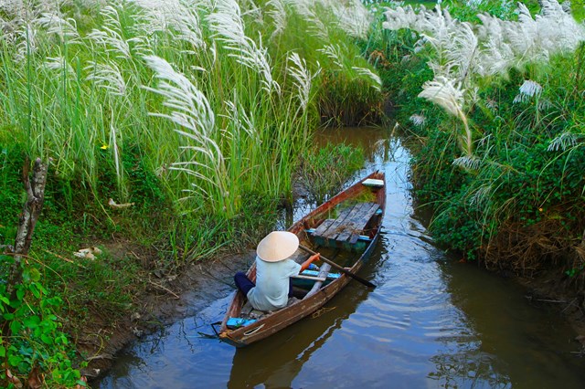 anh-quang-nam-ngo-ng224ng-khi-hoa-co-lau-tr224n-ngap-tr234n-c225nh-dong-qu234_7.jpg
