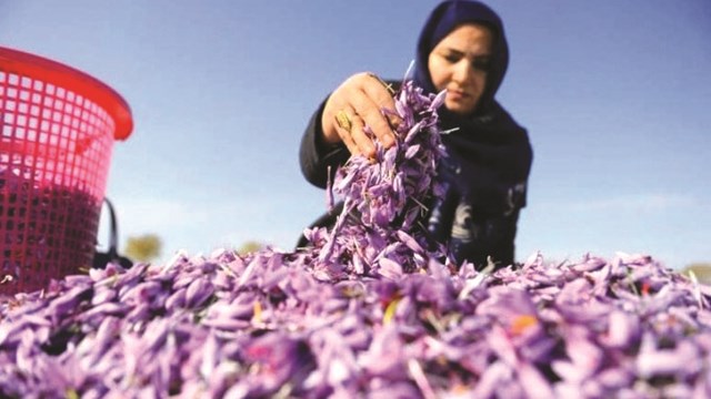 Attai - bà trùm ‘vàng đỏ’ Afghanistan