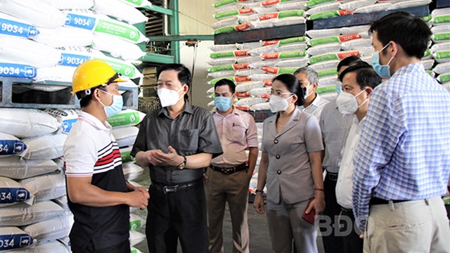 Bình Định: Tìm giải pháp tháo gỡ khó khăn cho doanh nghiệp