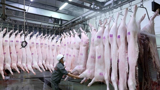 Bình Dương: 9 tháng, xử phạt 431 trường hợp vi phạm về quy định giết mổ động vật