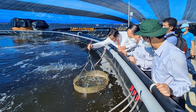 bac-li234u-day-manh-nu244i-t244m-ung-dung-c244ng-nghe-cao_2.jpg