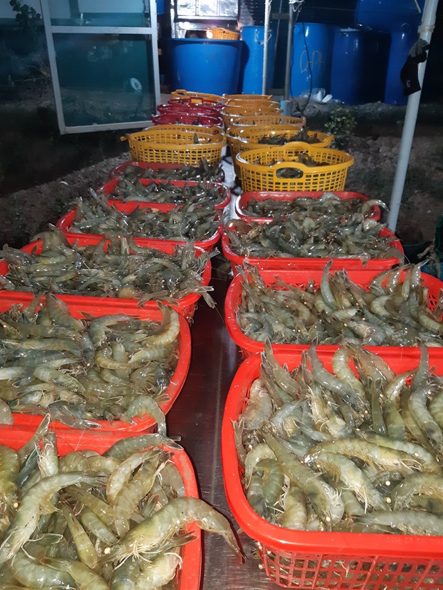 bac-li234u-day-manh-nu244i-t244m-ung-dung-c244ng-nghe-cao_6.jpg