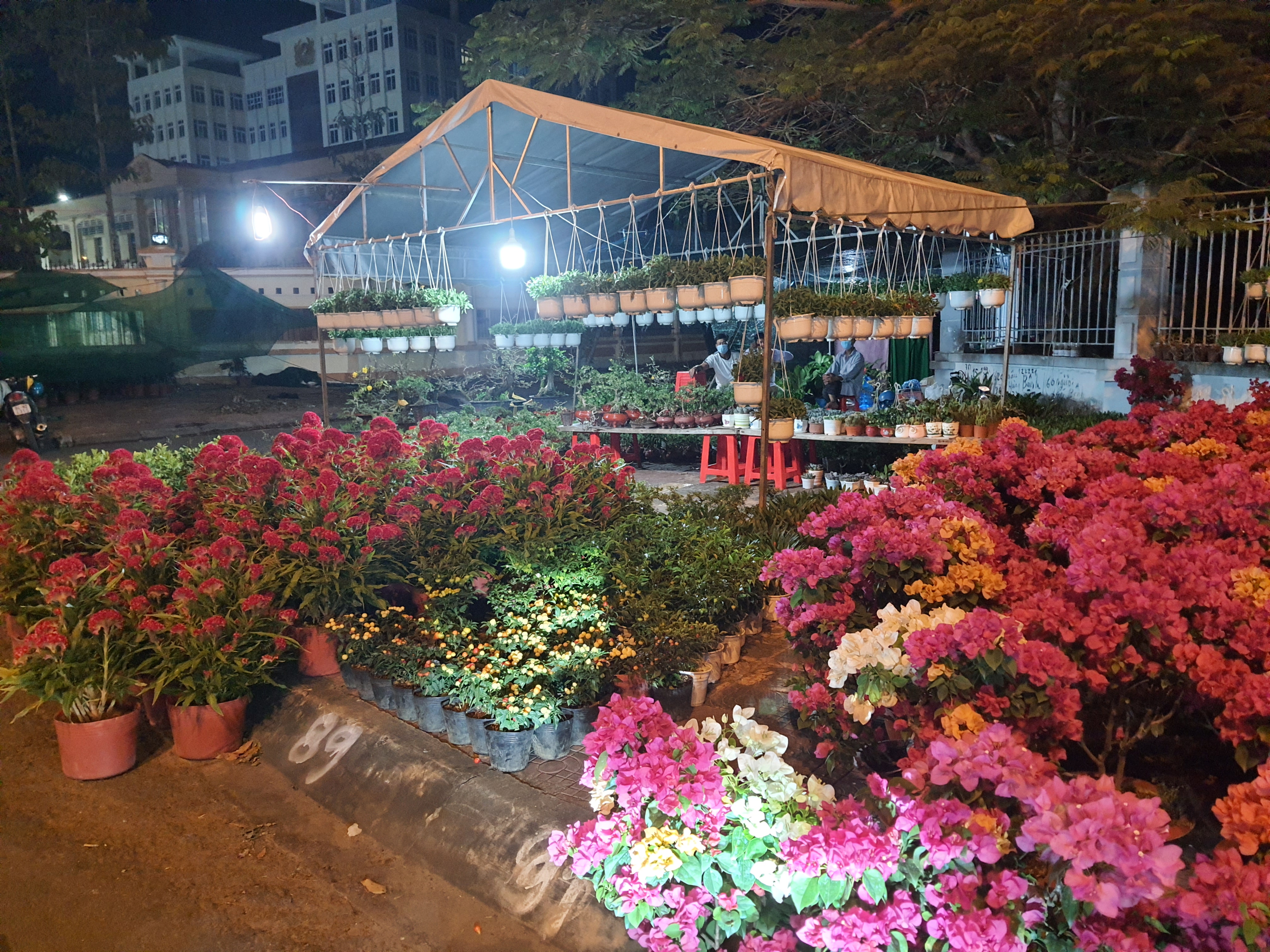 bac-li234u-thi-truong-hoa-kieng-tram-lang-nhung-ng224y-can-tet_3.jpg