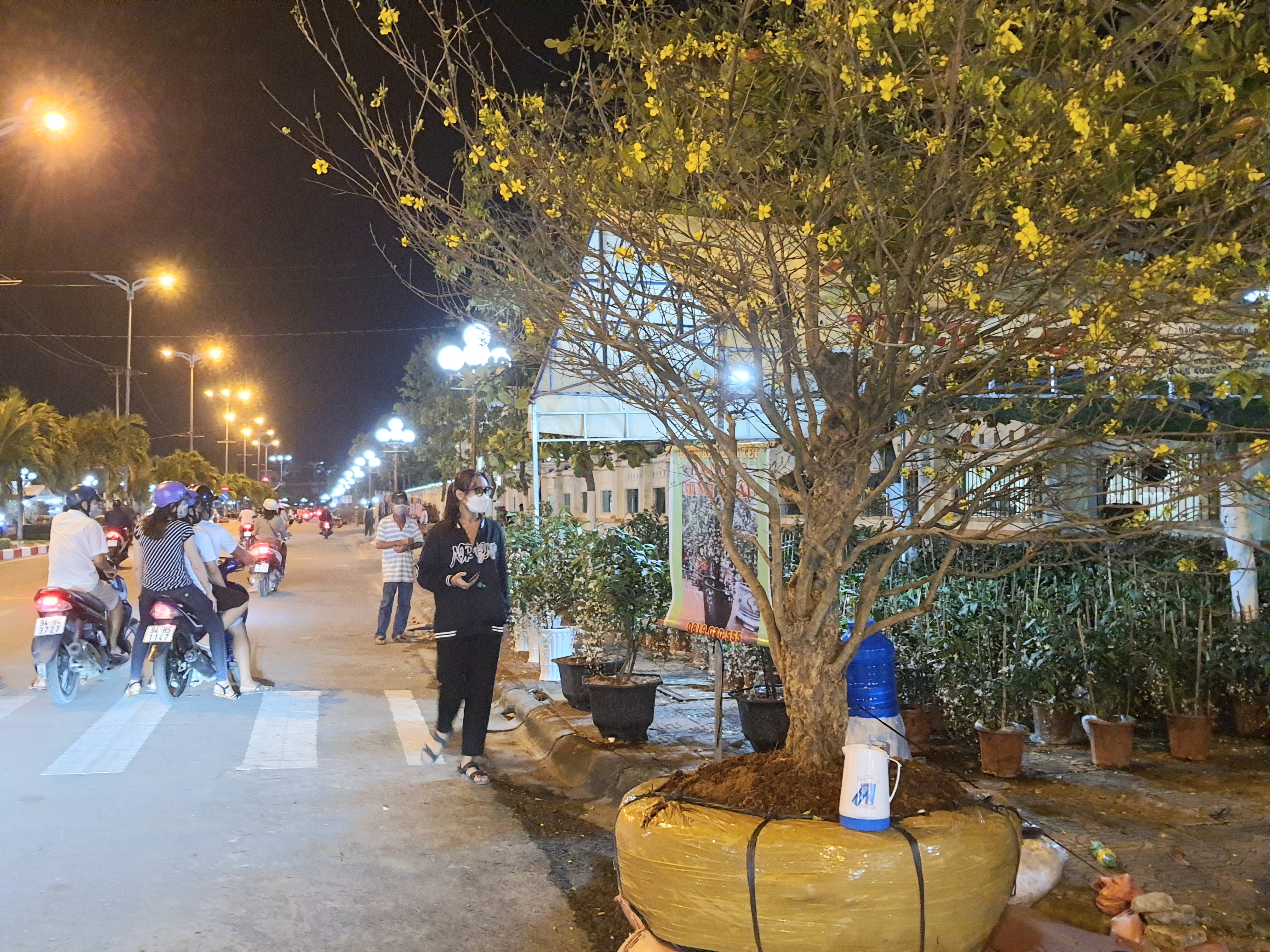 bac-li234u-thi-truong-hoa-kieng-tram-lang-nhung-ng224y-can-tet_4.jpg
