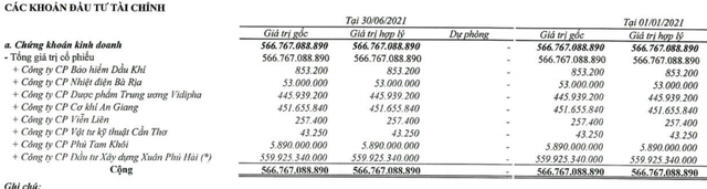 Bamboo Capital (BCG): Ghi nhận lãi đột biến từ đầu tư, quý 2/2021 LNST cao gấp 16 lần cùng kỳ với 316 tỷ đồng - Ảnh 2.