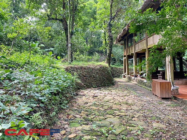 Bất động sản hàng chục nghìn người mơ ước khi Hà Nội giãn cách - Ảnh 1. Bất động sản hàng chục nghìn người mơ ước khi Hà Nội giãn cách - Ảnh 1.