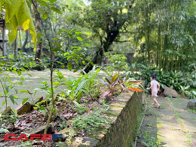 Bất động sản hàng chục nghìn người mơ ước khi Hà Nội giãn cách - Ảnh 2. Bất động sản hàng chục nghìn người mơ ước khi Hà Nội giãn cách - Ảnh 2.