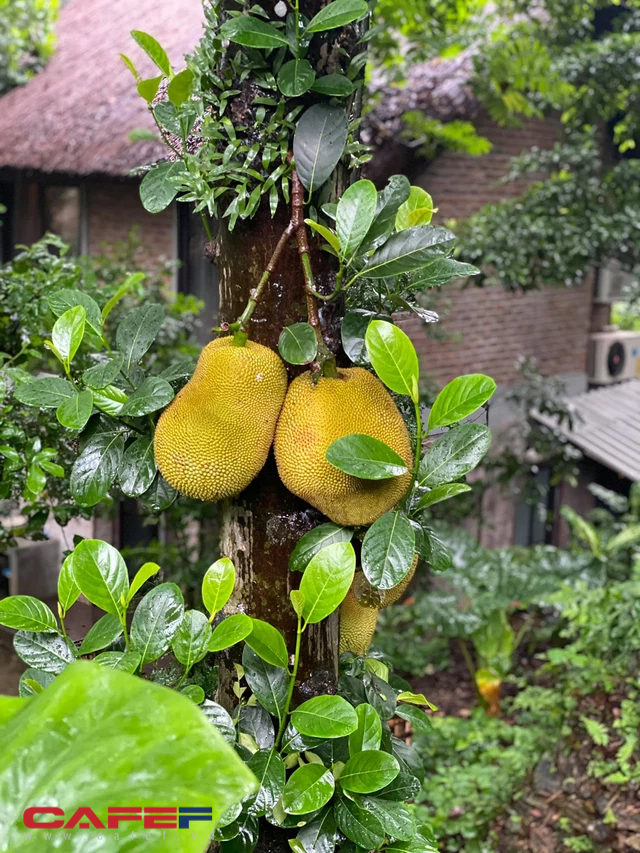 Bất động sản hàng chục nghìn người mơ ước khi Hà Nội giãn cách - Ảnh 5. Bất động sản hàng chục nghìn người mơ ước khi Hà Nội giãn cách - Ảnh 5.