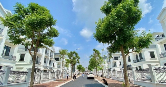 Bất động sản Nhật Nam gia tăng quỹ đất đón đầu cơ hội