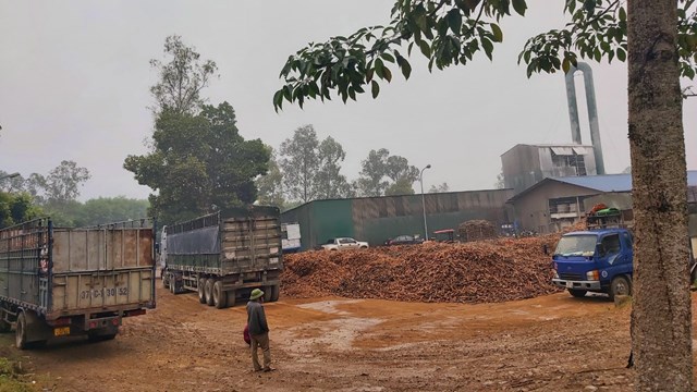 Bất lực với xưởng chế biến tinh bột sắn không phép?