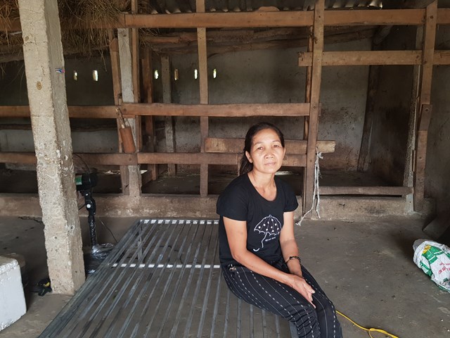 bat-ngo-tu-h224ng-loat-nh224-chua-rom-bi-ch225y-b237-an-o-h224-tinh_1.jpg bat-ngo-tu-h224ng-loat-nh224-chua-rom-bi-ch225y-b237-an-o-h224-tinh_1.jpg