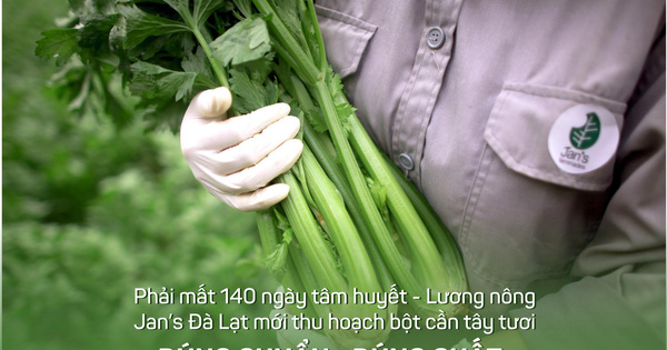 Bột cần tây Jan’s - Sản phẩm của tình yêu nông nghiệp Việt