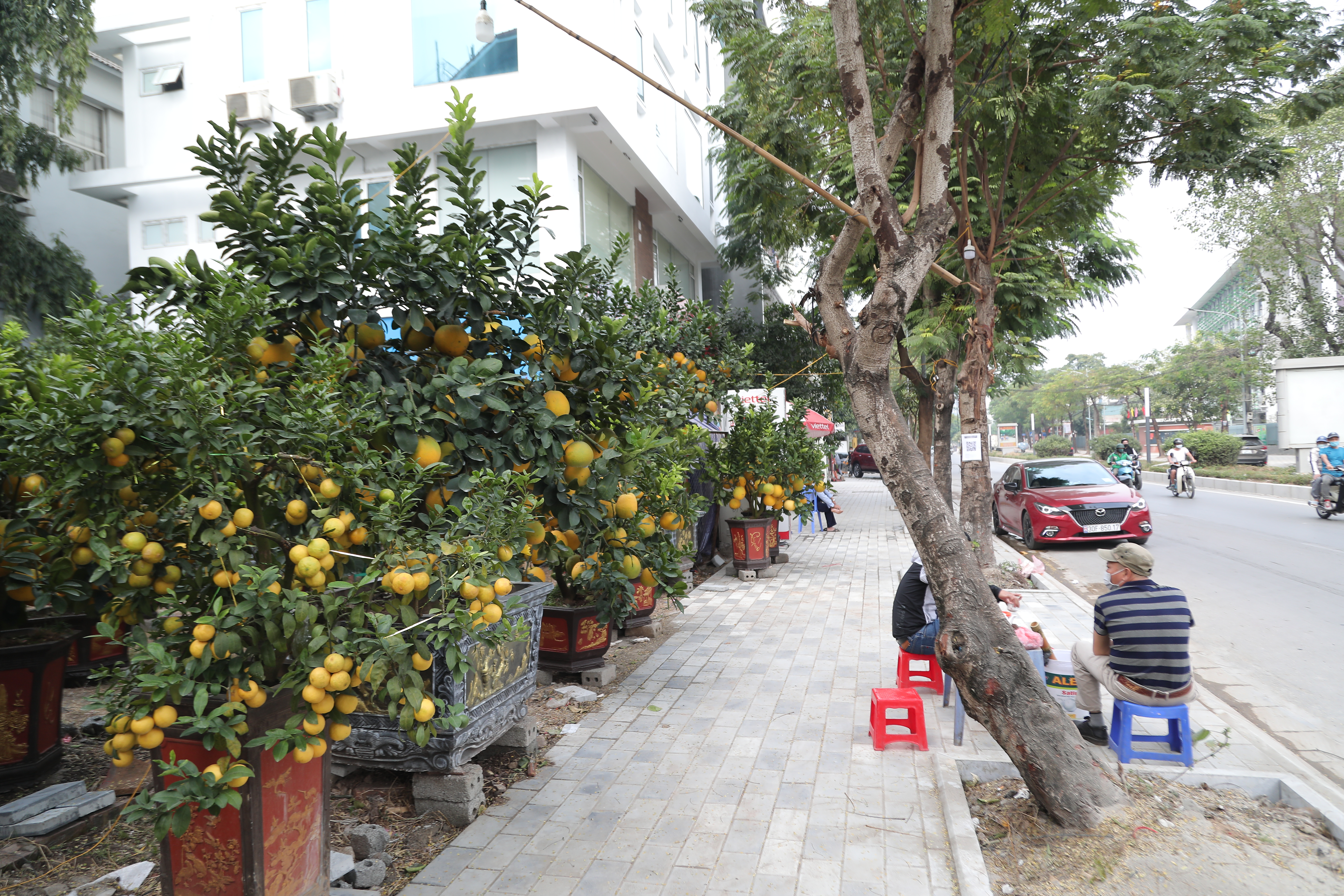 buoi-canh-chanh-tu-qu253-39n244-nuc39-xuong-pho-d243n-tet-som_1.jpg buoi-canh-chanh-tu-qu253-39n244-nuc39-xuong-pho-d243n-tet-som_1.jpg