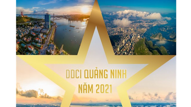 Các địa phương, sở, ngành dẫn đầu bảng chỉ số DDCI Quảng Ninh năm 2021