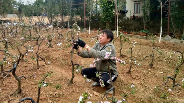 Công nhận ‘Làng nghề Hà Nội’ và ‘Làng nghề truyền thống Hà Nội’