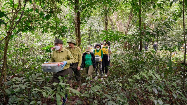Cúc Phương thắng giải Vườn quốc gia hàng đầu châu Á lần thứ 5 