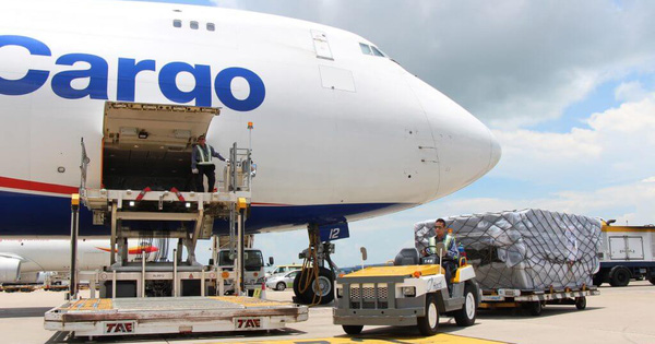 Các công ty logistics hàng không sống khỏe, lãi thậm chí về sát đỉnh trước đại dịch khi Vietjet, VNA vẫn lỗ